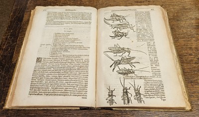 Lot 82 - Moffet (Thomas). Insectorum siue Minimorum animalium theatrum..., 1634