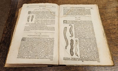 Lot 82 - Moffet (Thomas). Insectorum siue Minimorum animalium theatrum..., 1634