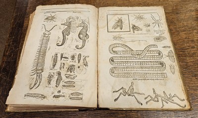 Lot 82 - Moffet (Thomas). Insectorum siue Minimorum animalium theatrum..., 1634