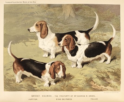 Lot 67 - Shaw (Vero). The Illustrated Book of the Dog, London: Cassell & Company, 1890