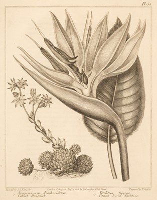 Lot 59 - Edwards (Sydenham). The New Flora Britannica, 2 vols. in one, 1812