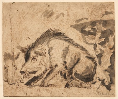 Lot 17 - Attributed to Abraham Hondius (1625-1691). Wild Boars, circa 1672, pen and ink and wash