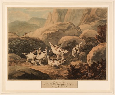 Lot 208 - Lewis (Frederick Christian). Ptarmigans,  circa 1808