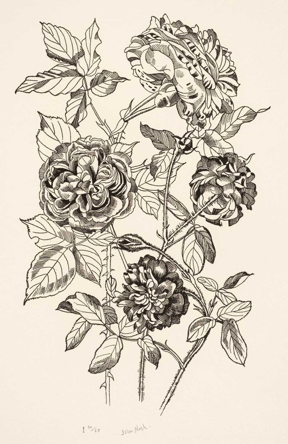 Lot 265 - Nash (John, 1893-1977). Flower Drawings, published by Warren Editions, 1969