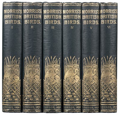 Lot 74 - Morris (Francis Orpen). A History of British Birds, 3rd edition, 1891