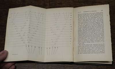 Lot 57 - Darwin (Charles). On the Origin of Species by Means of Natural Selection, 2nd ed., 2nd issue, 1860
