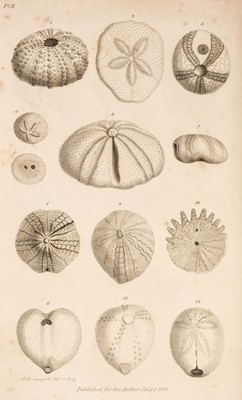 Lot 76 - Parkinson (James). Outlines of Oryctology. An Introduction ... Study of Fossil Organic Remains, 1822