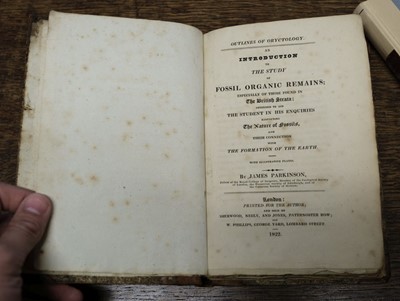Lot 76 - Parkinson (James). Outlines of Oryctology. An Introduction ... Study of Fossil Organic Remains, 1822