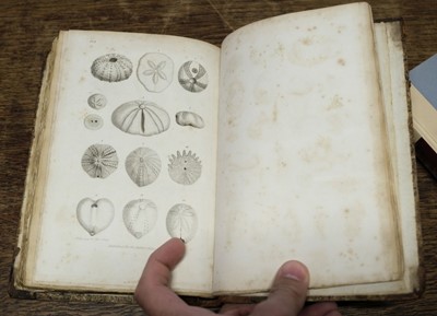 Lot 76 - Parkinson (James). Outlines of Oryctology. An Introduction ... Study of Fossil Organic Remains, 1822