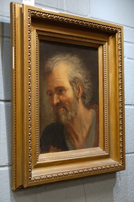 Lot 62 - Italian School. Head of an Old Man, second half 17th century