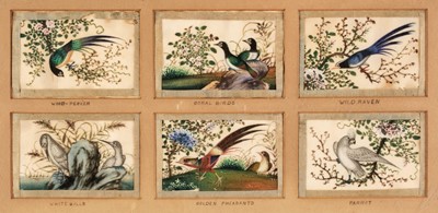 Lot 184 - Chinese paintings. Twelve Tropical Bird paintings