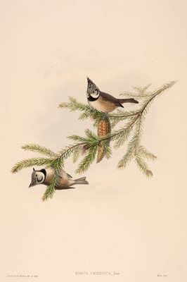 Lot 96 - Gould (John). Four lithographs from 'The Birds of Great Britain' [1862 - 73]