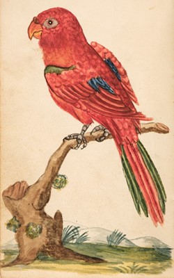 Lot 163 - Natural History Watercolours of Birds and Insects, by H. Farren, circa 1790-1810