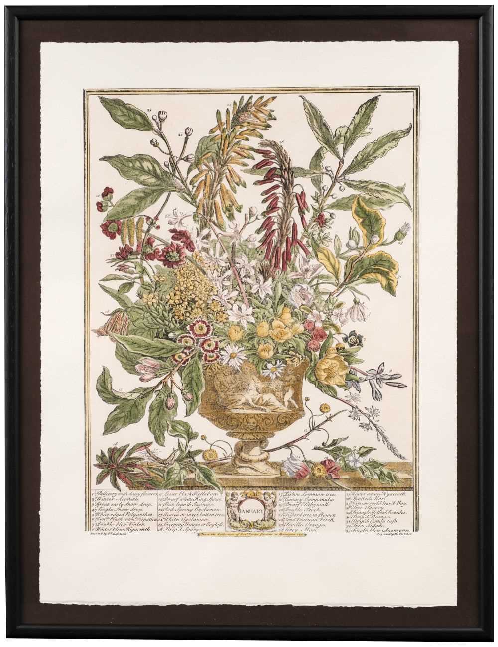 Lot 186 Botanical Prints. A selection of