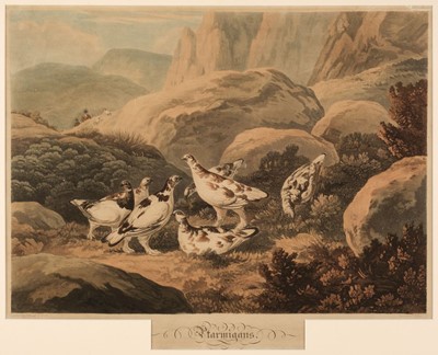 Lot 274 - Lewis (Frederick Christian). Ptarmigans, circa 1808