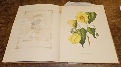 Lot 75 - Eden, Emily. Flowers from an Indian Garden, second series, Breidenbach & Co, circa 1850