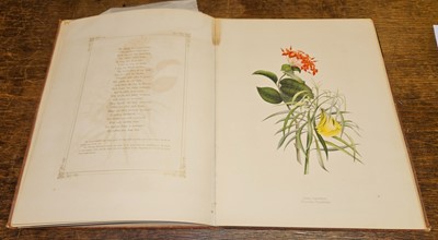Lot 75 - Eden, Emily. Flowers from an Indian Garden, second series, Breidenbach & Co, circa 1850