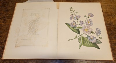 Lot 75 - Eden, Emily. Flowers from an Indian Garden, second series, Breidenbach & Co, circa 1850