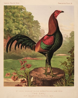 Lot 255 - Wright (Lewis). The Illustrated Book of Poultry, 1st edition, circa 1875