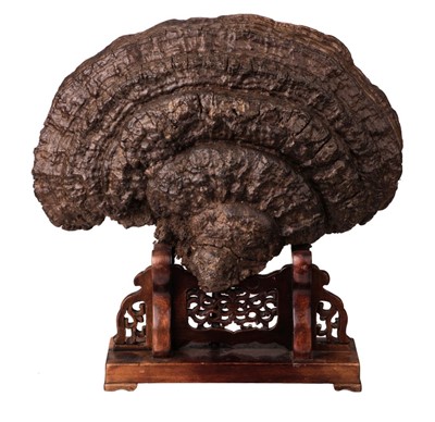 Lot 149 - Large Petrified Fungus, Lingzhi, on stand, 18th/19th century