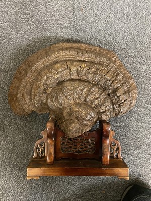 Lot 149 - Large Petrified Fungus, Lingzhi, on stand, 18th/19th century