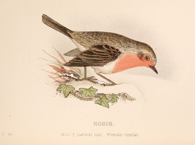 Lot 124 - Mosley (Seth). An Account of the Birds of the Huddersfield District, 1st edition, [1912-15]