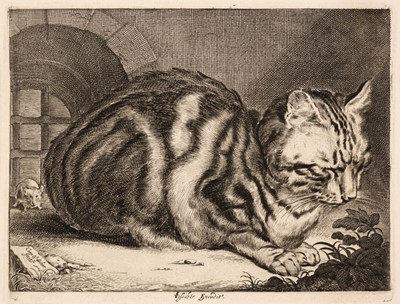 Lot 7 - Visscher, Cornelis (1628/9-1658). The Large Cat, circa 1657, engraving