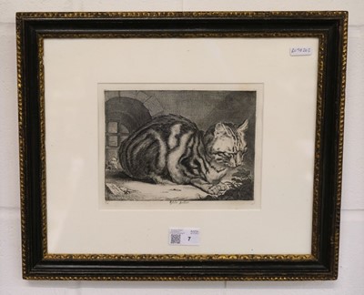 Lot 7 - Visscher, Cornelis (1628/9-1658). The Large Cat, circa 1657, engraving