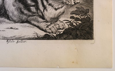 Lot 7 - Visscher, Cornelis (1628/9-1658). The Large Cat, circa 1657, engraving