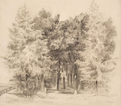 Lot 114 - Cotman (John Sell, 1782-1842). Study of a Clump of Trees, 19th century