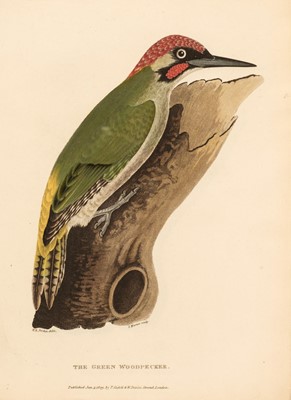 Lot 141 - Tucker (Andrew G. C.). Ornithologia Danmoniensis, 2 parts in 1, 1809
