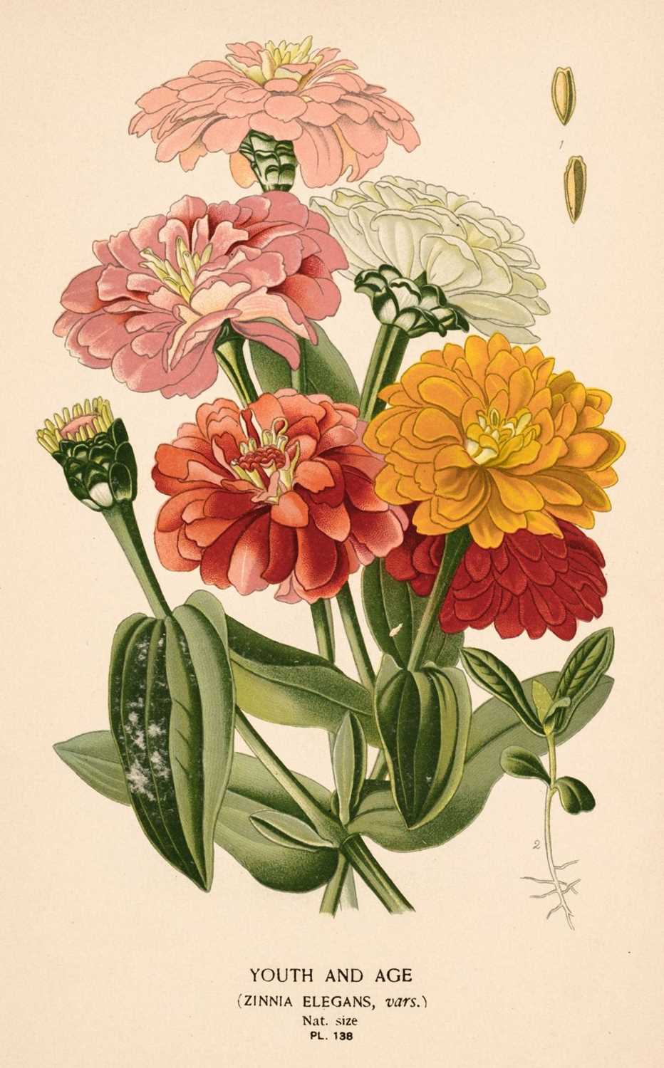 Lot 264 - Botany. A collection of approximately 650
