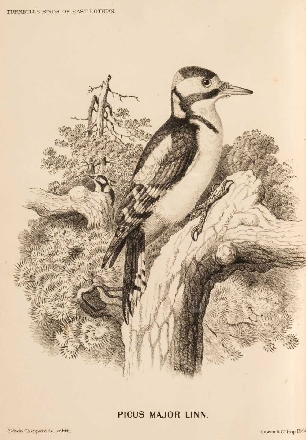 Lot 142 - Turnbull (William). The Birds of East