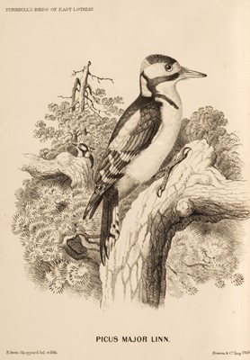 Lot 142 - Turnbull (William). The Birds of East Lothian and a Portion of the Adjoining Counties, 1867