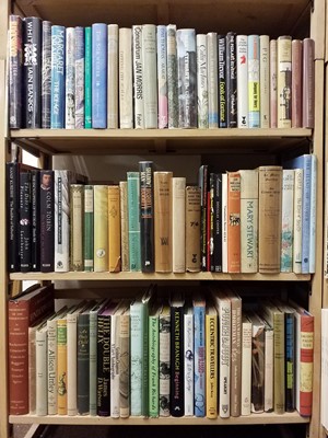 Lot 458 - Modern Fiction. A large collection of modern fiction & miscellaneous reference