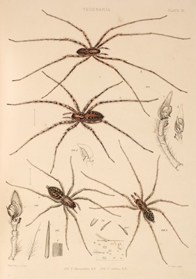 Lot 157 - Blackwall (John). A History of the Spiders of Great Britain and Ireland, 2 volumes in one, 1861