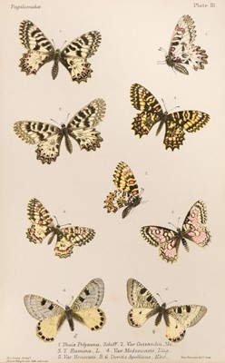 Lot 177 - Lang (Henry C.). Rhopalocera Europae, 2 volumes, 1884
