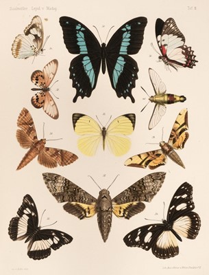 Lot 183 - Saalmuller (Max). Lepidopteren von Madagascar, 2 parts in one, 1884-91