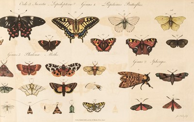 Lot 154 - Barbut (Jacques). Les Genres des Insectes de Linne, 1781