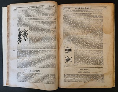 Lot 179 - Moffett (Thomas). The Theatre of Insects: or, Lesser living Creatures, London: by E.C., 1658