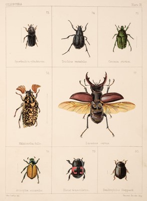 Lot 174 - Janson (E. W.) British Beetles, 1863