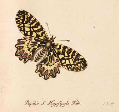 Lot 182 - Panzer (G.W.F.). Fauna insectorum Germania initia, oder Deutschlands Insecten, circa 1796-1813