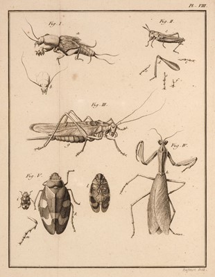 Lot 160 - Geoffroy (Etienne Louis). Histoire abregee des Insectes, 2 volumes, 2nd ediition, 1764