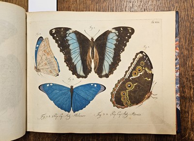 Lot 172 - Jablonsky, Carl Gustav & Johann F. W. Herbst. [Natursystem aller Bekannten in- und Auslandischen