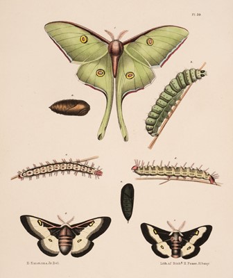 Lot 181 - Natural History of New York series. Agriculture of New York, 3 volumes, 1846-54