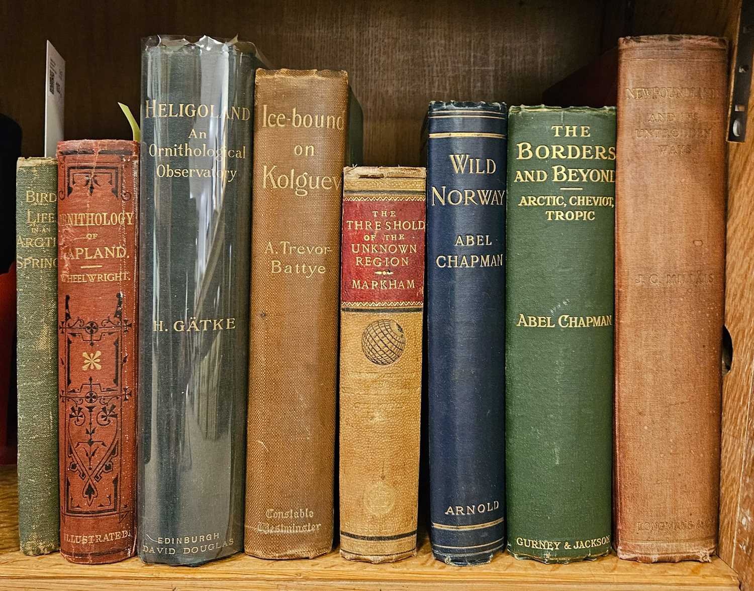 Lot 103 Gätke (Heinrich). Heligoland as an