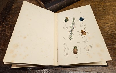 Lot 189 - Westwood (John Obadiah). Arcana Entomologica; or Illustrations of New, Rare and Interesting Insects