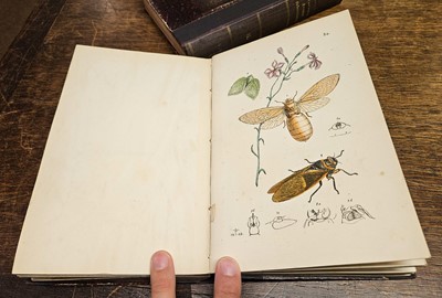 Lot 189 - Westwood (John Obadiah). Arcana Entomologica; or Illustrations of New, Rare and Interesting Insects