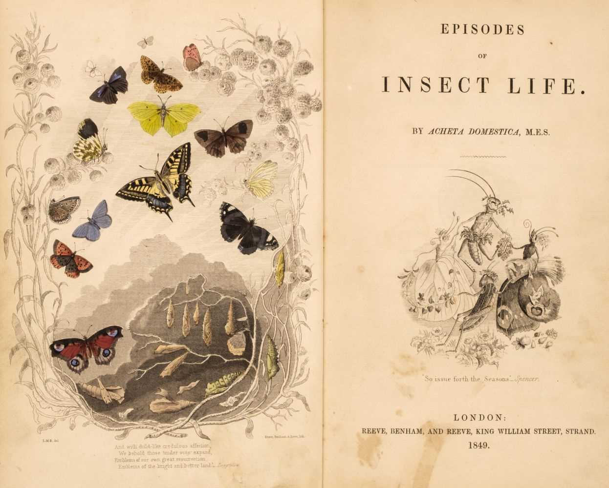 Lot 192 - Wood (W. & Westwood, J.O.). Index Entomologicus; or, a Complete Illustrated Catalogue