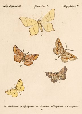 Lot 165 - Hübner, Jacob. [Sammlung Europäischer Schmetterlinge], c. 1840s